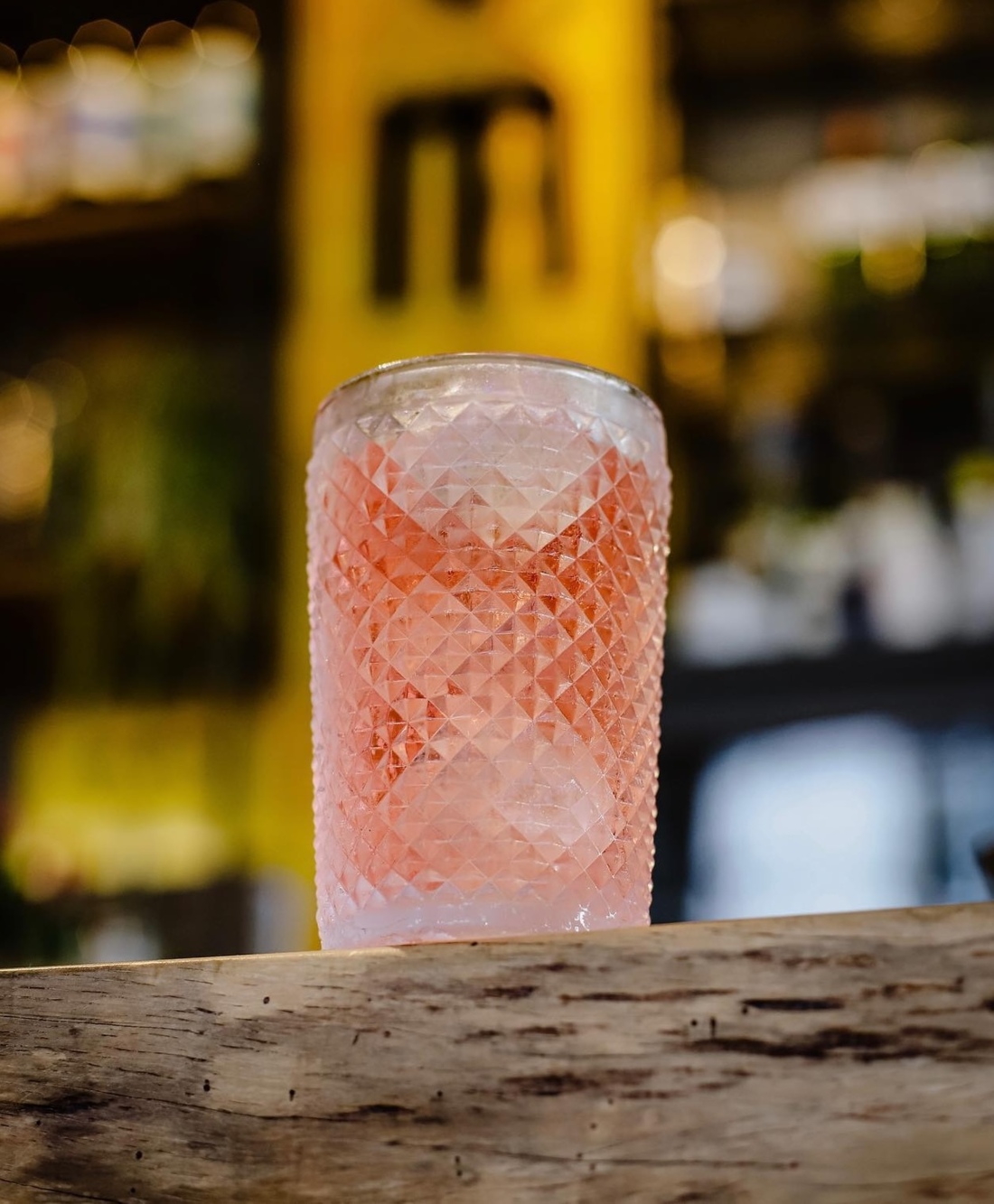 World Paloma Day, Botanero Rotterdam