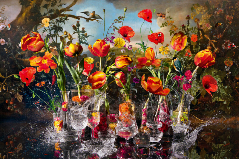 Hans Withoos Birds Song, 2024