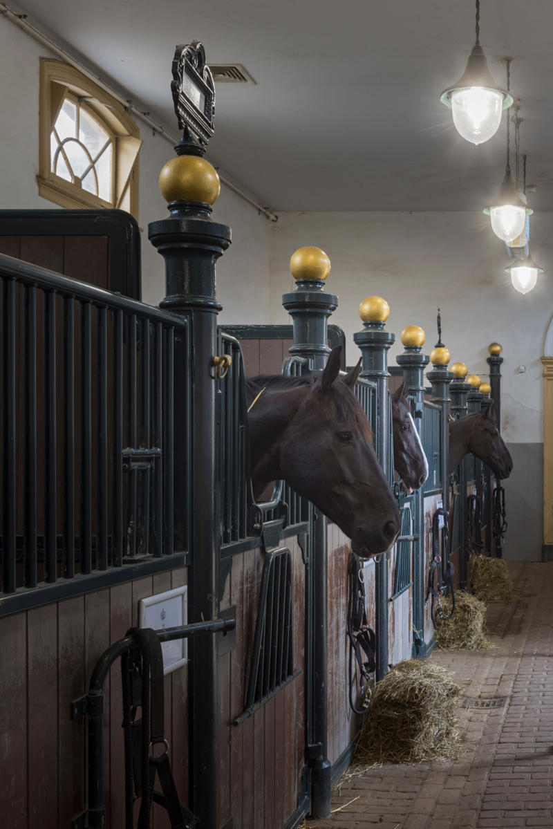 Koninklijke stallen