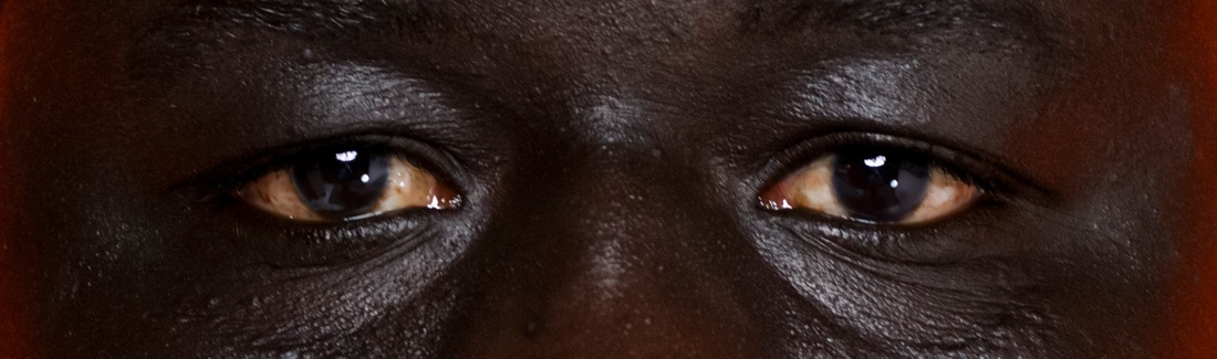 Document Nederland © Tina Farifteh