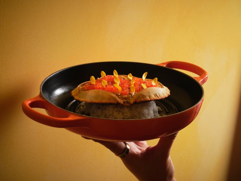 Jorane's Favorieten Krab © Rinze Vegelien