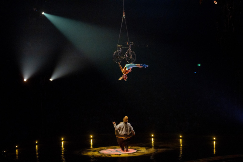 KURIOS © Daniel Gonzalez